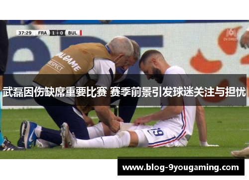 武磊因伤缺席重要比赛 赛季前景引发球迷关注与担忧