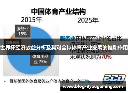 世界杯经济效益分析及其对全球体育产业发展的推动作用