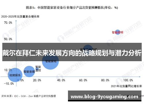 戴尔在拜仁未来发展方向的战略规划与潜力分析