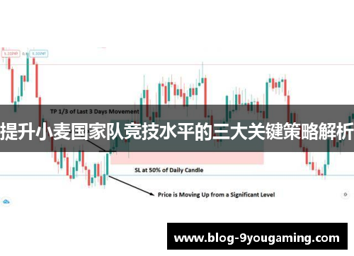 提升小麦国家队竞技水平的三大关键策略解析