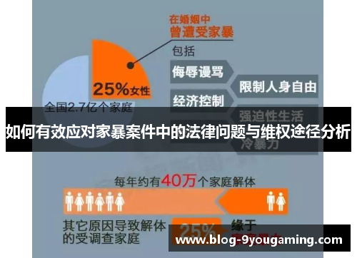 如何有效应对家暴案件中的法律问题与维权途径分析