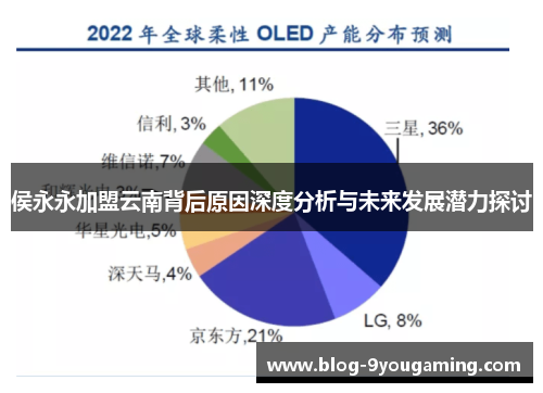 侯永永加盟云南背后原因深度分析与未来发展潜力探讨