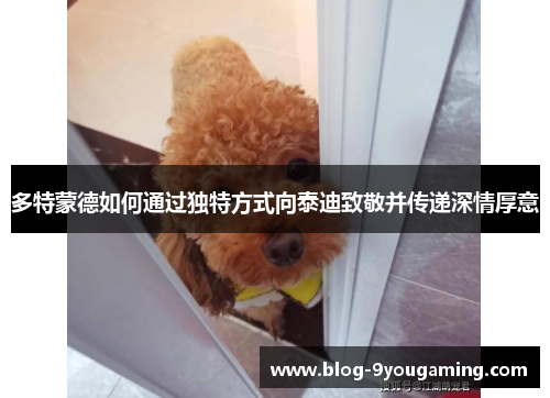 多特蒙德如何通过独特方式向泰迪致敬并传递深情厚意