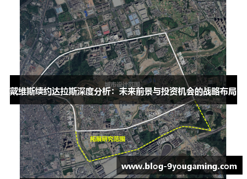 戴维斯续约达拉斯深度分析：未来前景与投资机会的战略布局