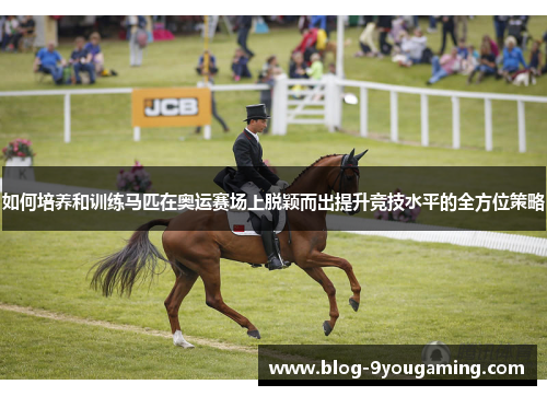 如何培养和训练马匹在奥运赛场上脱颖而出提升竞技水平的全方位策略
