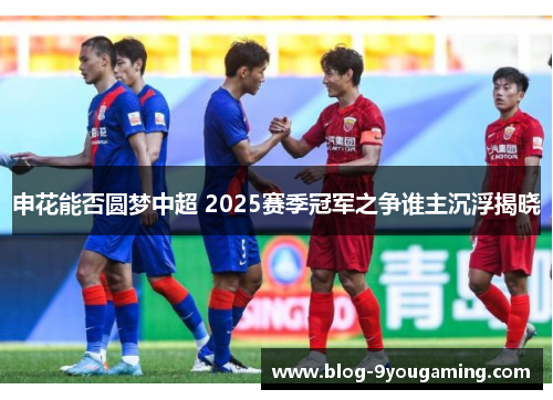 申花能否圆梦中超 2025赛季冠军之争谁主沉浮揭晓