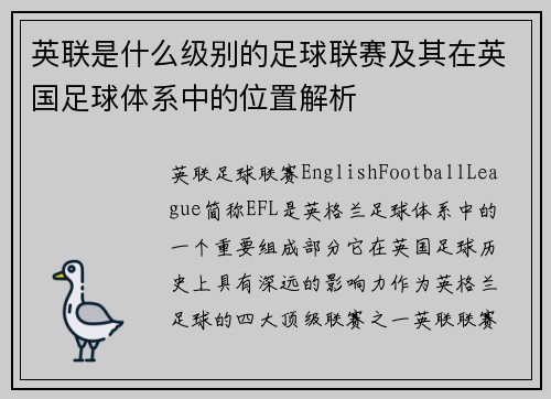 英联是什么级别的足球联赛及其在英国足球体系中的位置解析