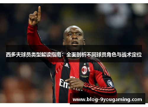 西多夫球员类型解读指南：全面剖析不同球员角色与战术定位