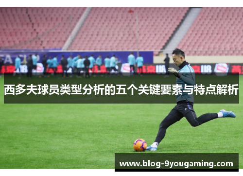 西多夫球员类型分析的五个关键要素与特点解析