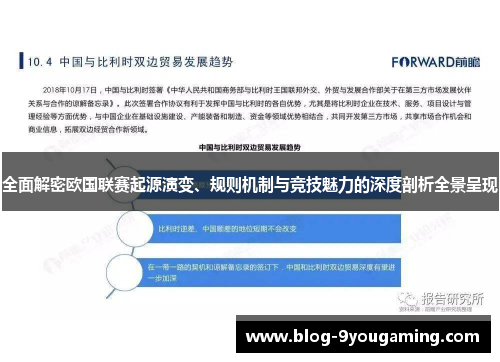 全面解密欧国联赛起源演变、规则机制与竞技魅力的深度剖析全景呈现