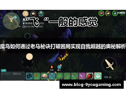 魔鸟如何通过老马秘诀打破困局实现自我超越的奥秘解析